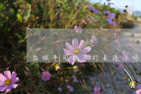 出租车司机不打表违法吗