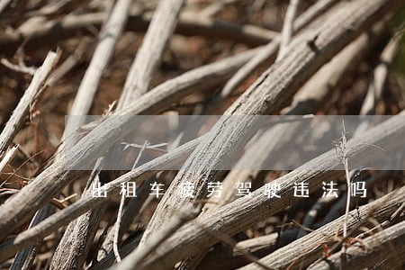 出租车疲劳驾驶违法吗 出租车疲劳驾驶违法吗