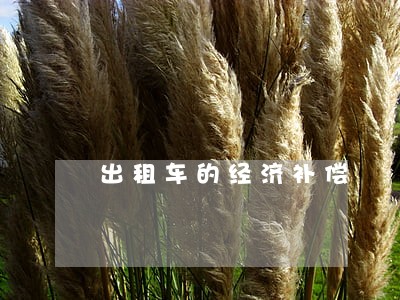 出租车的经济补偿 出租车的经济补偿