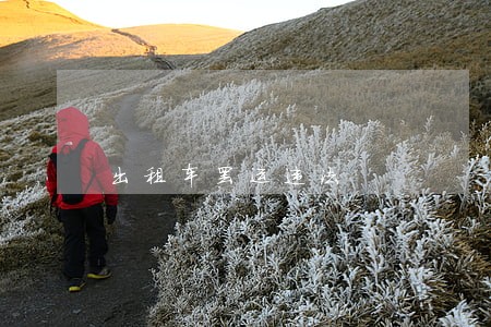 出租车罢运违法 出租车罢运违法