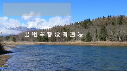 出租车都没有违法 出租车都没有违法