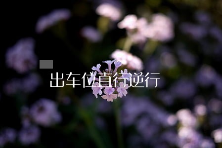 出车位直行逆行 出车位直行逆行
