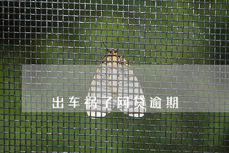 出车祸了网贷逾期 出车祸了网贷逾期