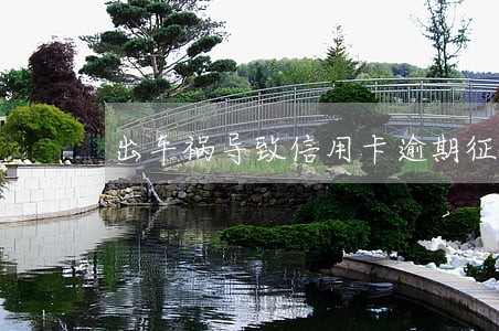 出车祸导致信用卡逾期征信