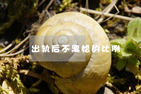 出轨后不离婚的比例 出轨后不离婚的比例