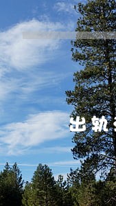 出轨法院判决离婚吧 出轨法院判决离婚吧