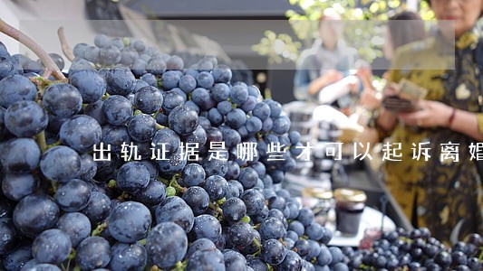 出轨证据是哪些才可以起诉离婚 出轨证据是哪些才可以起诉离婚