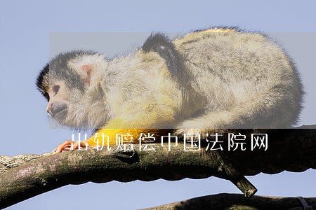 出轨赔偿中国法院网 出轨赔偿中国法院网