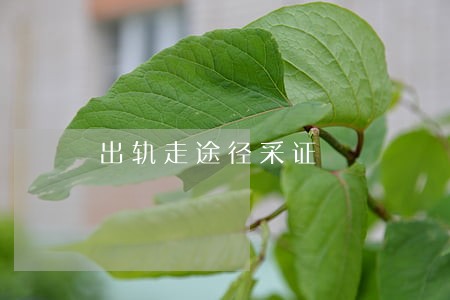 出轨走途径采证 出轨走途径采证