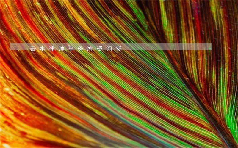 击水律师事务所咨询费 击水律师事务所咨询费