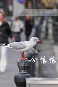 分信信用逾期了怎么办