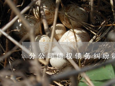 分公司债权债务纠纷律师费 分公司债权债务纠纷律师费
