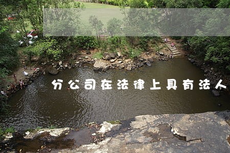 分公司在法律上具有法人资格 分公司在法律上具有法人资格