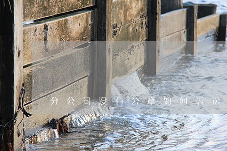 分公司没有公章如何诉讼 分公司没有公章如何诉讼