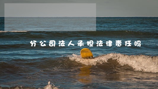 分公司法人承担法律责任吗 分公司法人承担法律责任吗