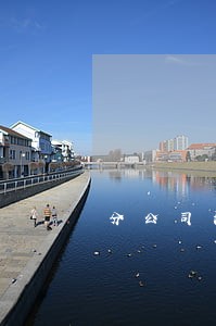 分公司法人授权 分公司法人授权