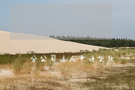 分公司法人申请贷款 分公司法人申请贷款