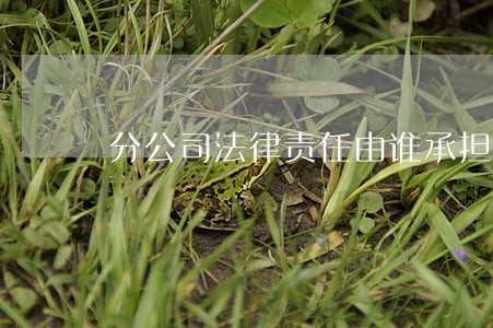分公司法律责任由谁承担 分公司法律责任由谁承担