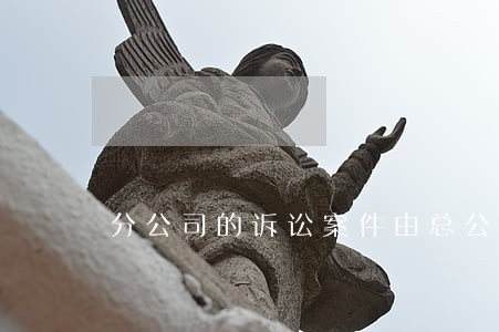 分公司的诉讼案件由总公司起诉 分公司的诉讼案件由总公司起诉