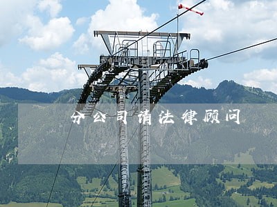 分公司请法律顾问 分公司请法律顾问