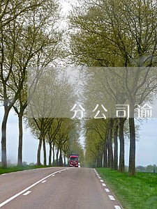 分公司逾期8000万判刑 分公司逾期8000万判刑