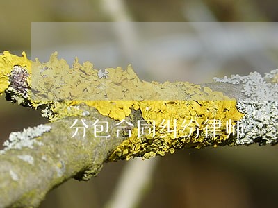 分包合同纠纷律师 分包合同纠纷律师