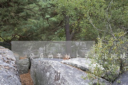 分居两年以上又向法院提诉讼 分居两年以上又向法院提诉讼