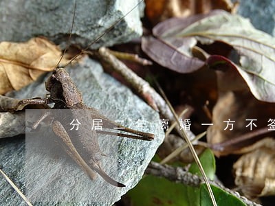 分居二年离婚一方不签字能离吗 分居二年离婚一方不签字能离吗