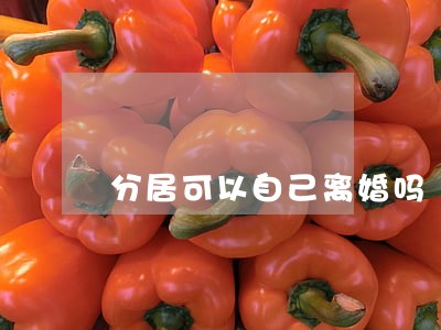 分居可以自己离婚吗 分居可以自己离婚吗