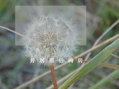 分居期后购房 分居期后购房