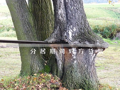 分居期间对方贷款 分居期间对方贷款