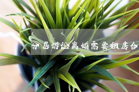 分居诉讼离婚需要租房合同吗