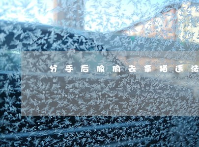 分手后偷偷去拿猫违法吗 分手后偷偷去拿猫违法吗