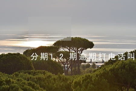 分期12期逾期打电话叫我还
