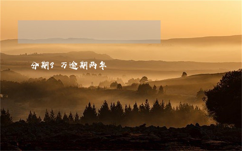 分期9万逾期两年