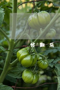 分期乐15年逾期上征信吗 分期乐15年逾期上征信吗