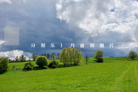 分期乐1月逾期图片 分期乐1月逾期图片