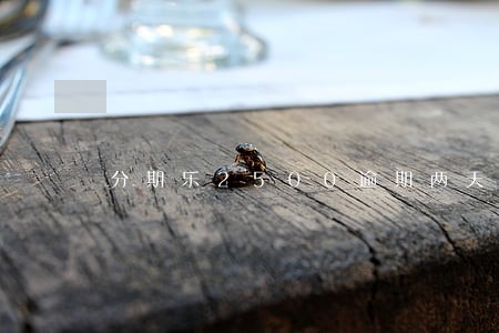 分期乐2500逾期两天 分期乐2500逾期两天