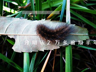 分期乐2万多逾期半年 分期乐2万多逾期半年