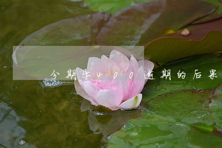 分期乐400逾期的后果 分期乐400逾期的后果