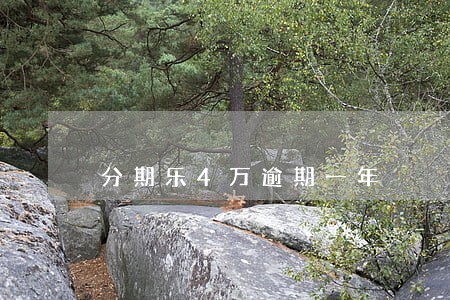 分期乐4万逾期一年 分期乐4万逾期一年