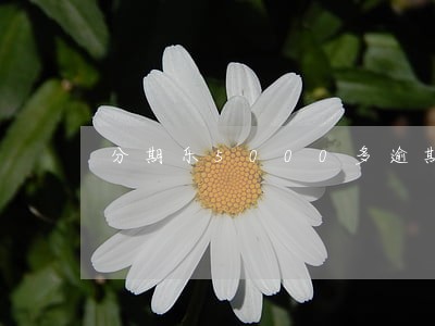 分期乐5000多逾期 分期乐5000多逾期