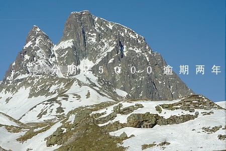 分期乐5000逾期两年 分期乐5000逾期两年