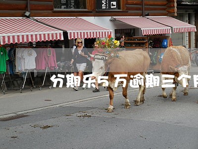 分期乐5万逾期三个月 分期乐5万逾期三个月