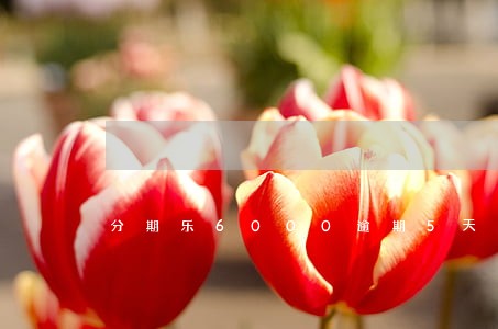 分期乐6000逾期5天会怎么办 分期乐6000逾期5天会怎么办