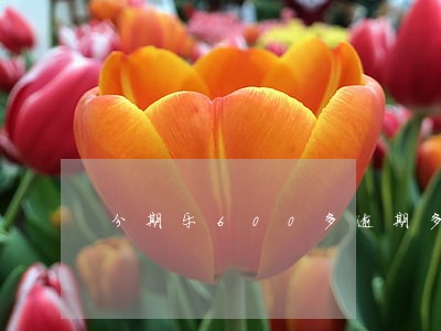 分期乐600多逾期多久会找人