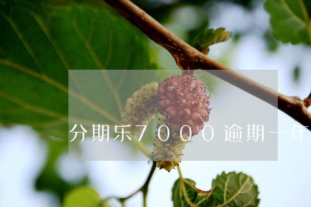 分期乐7000逾期一年 分期乐7000逾期一年
