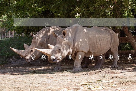 分期乐800块逾期9天会怎么样 分期乐800块逾期9天会怎么样