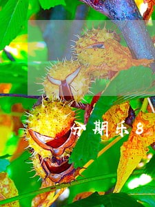 分期乐8万逾期 分期乐8万逾期