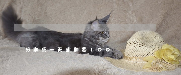 分期乐一天逾期费100 分期乐一天逾期费100